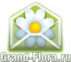 Логотип компании Доставка цветов Гранд Флора (ф-л г.Сатка)
